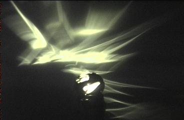 Picture of Zebra Light (10179 bytes JPEG)
